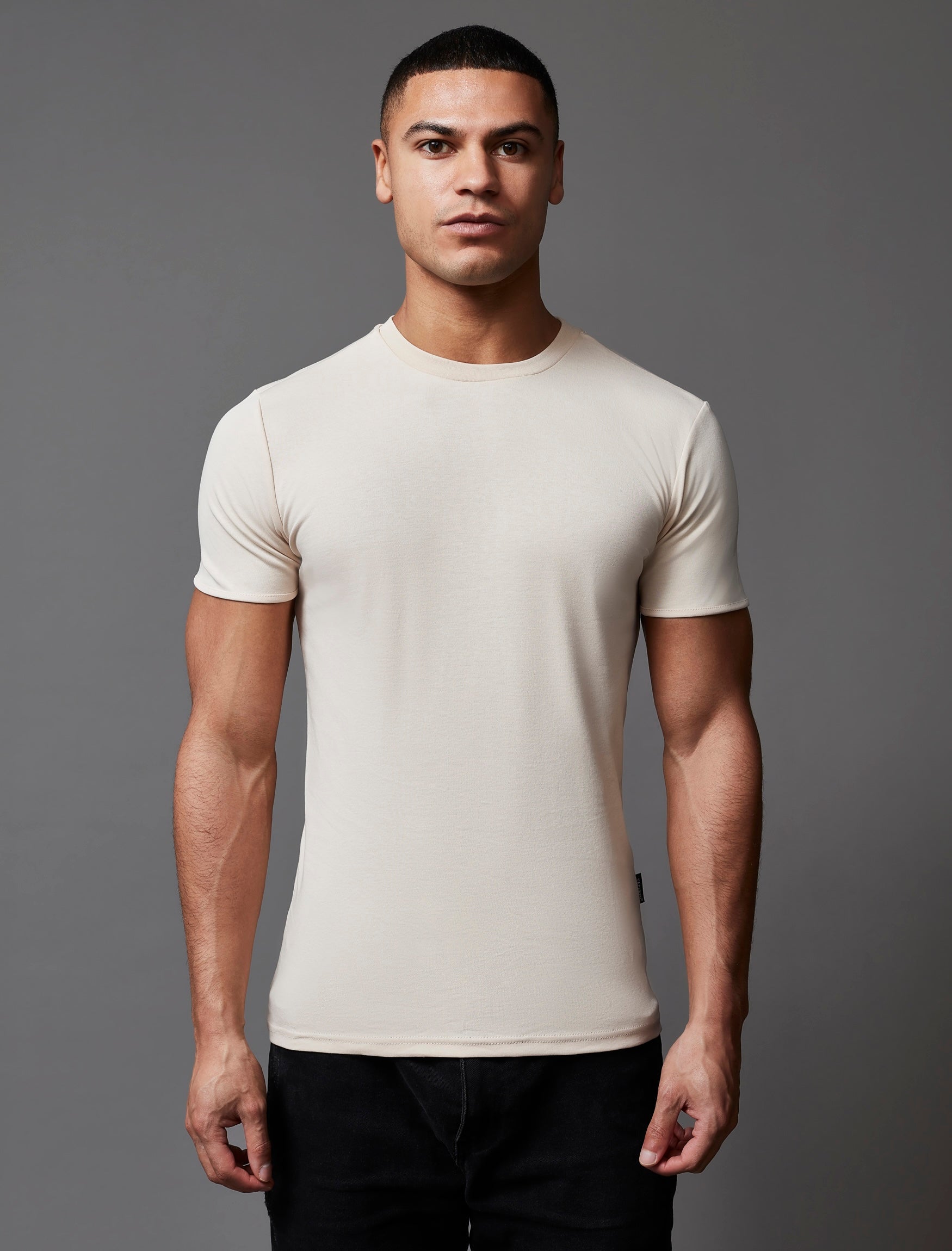 Beige Vittorini Fit T-Shirt